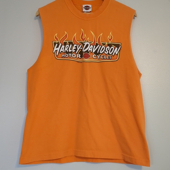 Harley-Davidson Muscle Shirt Men's L Superstition Apache Junction VTG Bikercore - Picture 1 of 7